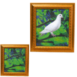 SHADOW TO DOVE FRAME