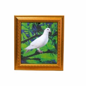 SHADOW TO DOVE FRAME