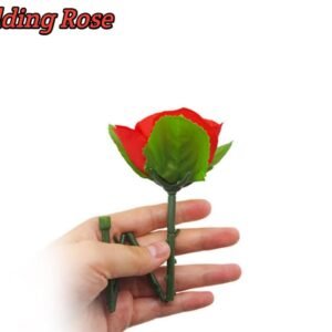 floding rose