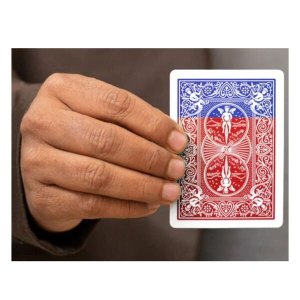 zigzag card  clour change