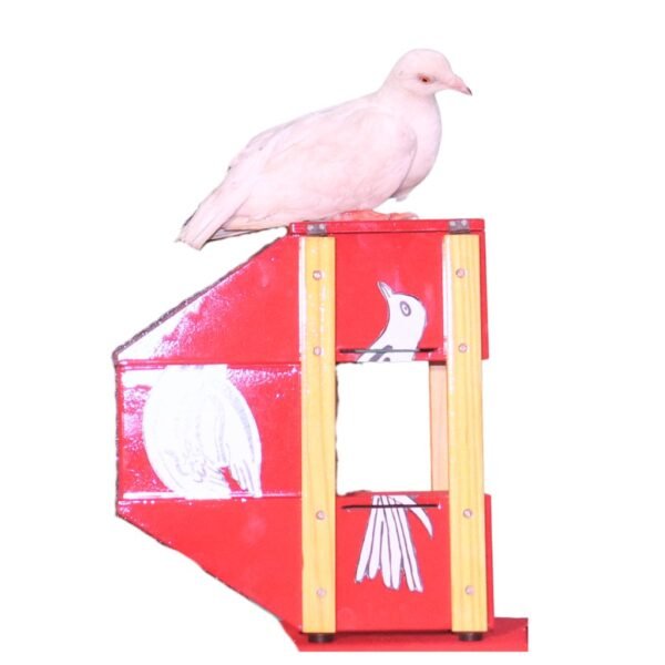 zig zag dove
