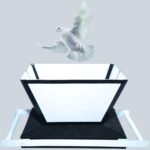 Dove production tray pro