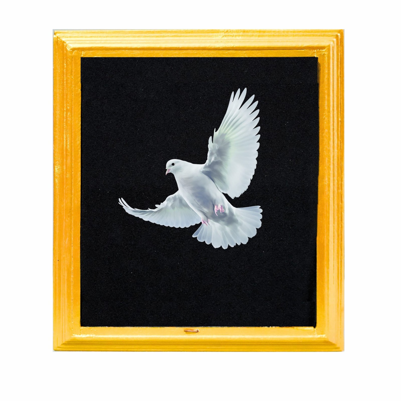 PAPER-TO-DOVE-FRAME-scaled-1.jpg PAPER TO DOVE FRAME - Image 1