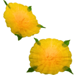 PEONY FLOWER 12 INCH - Image 6