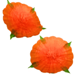 PEONY FLOWER 12 INCH - Image 5