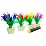WAND TO FOUR FLOWER