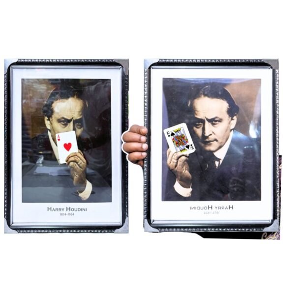 Houdini Card Pridiction frame