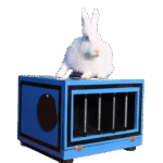 balllon to rabbit