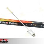 fire to cane singel