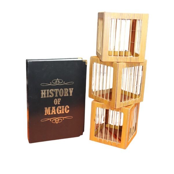 history of magic book